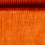 Cropped Horizontal Orange