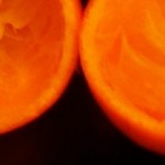 Cropped Oranges