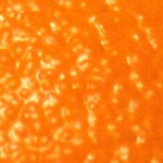 Cropped Orange Pomander Ball